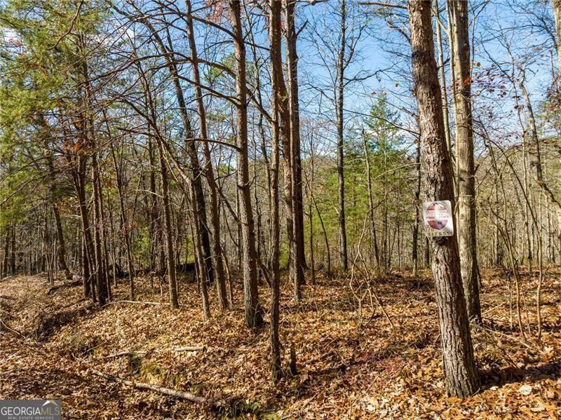 Property Photo: 25 Adair Drive NE GA 30734