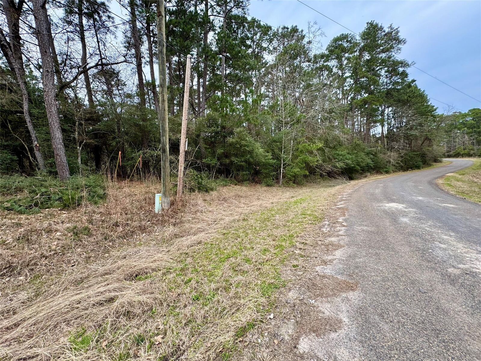 Property Photo: Lot 93 Whisperwood Drive TX 77360