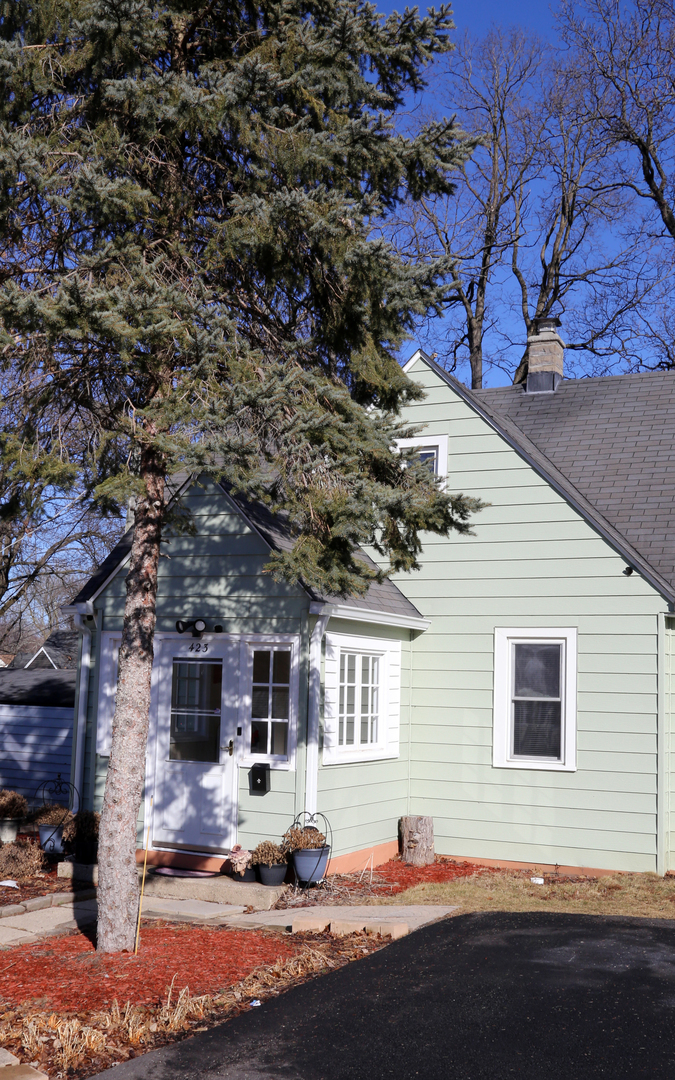 Property Photo:  423 Bellevue Drive  IL 60073 