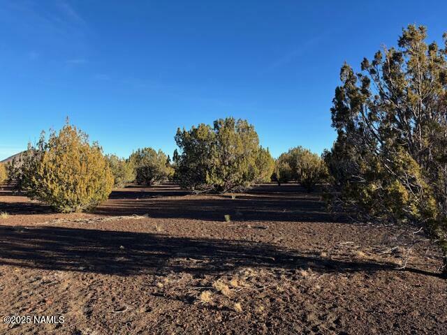 Property Photo:  303-23-020 Alpine Ranch  AZ 86004 