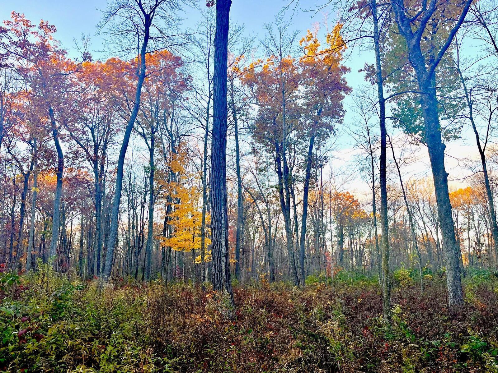 Property Photo:  8xx 68th Avenue  WI 54001