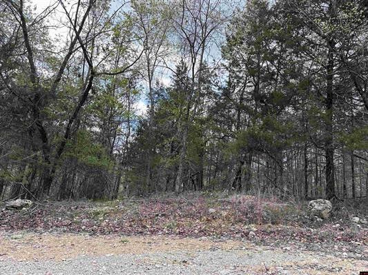 Property Photo:  Dovewood Lane  AR 72634 