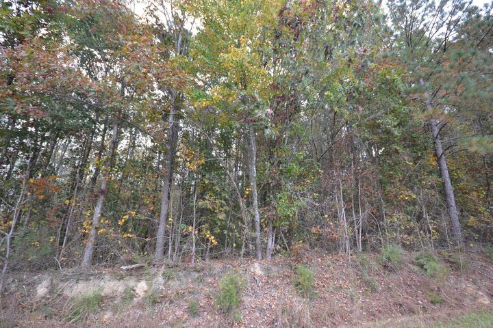 Property Photo: 0 Co Rd 1653 AL 35058 - CULLMAN