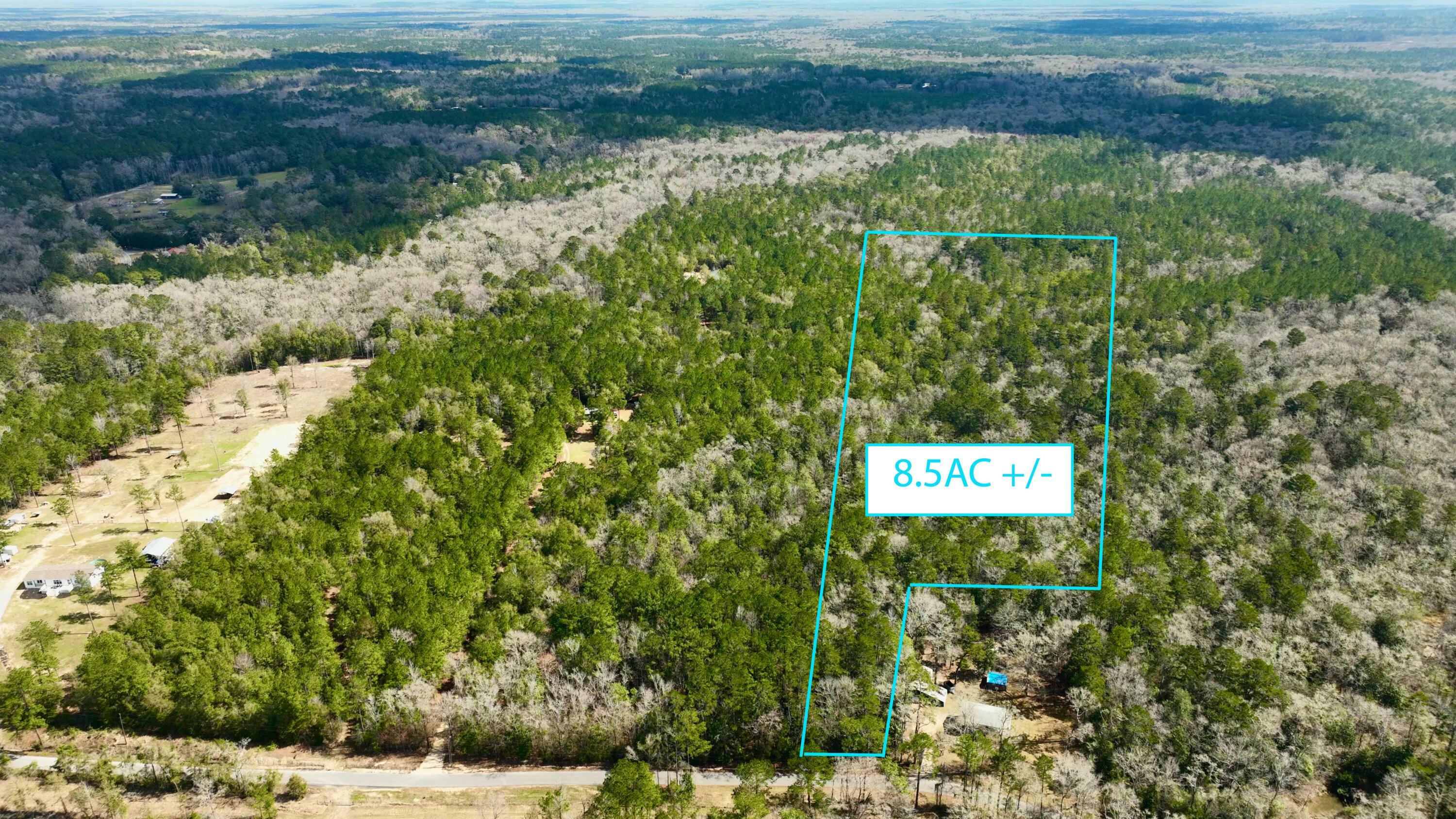 Property Photo:  Tbd White Creek Road  FL 32455 