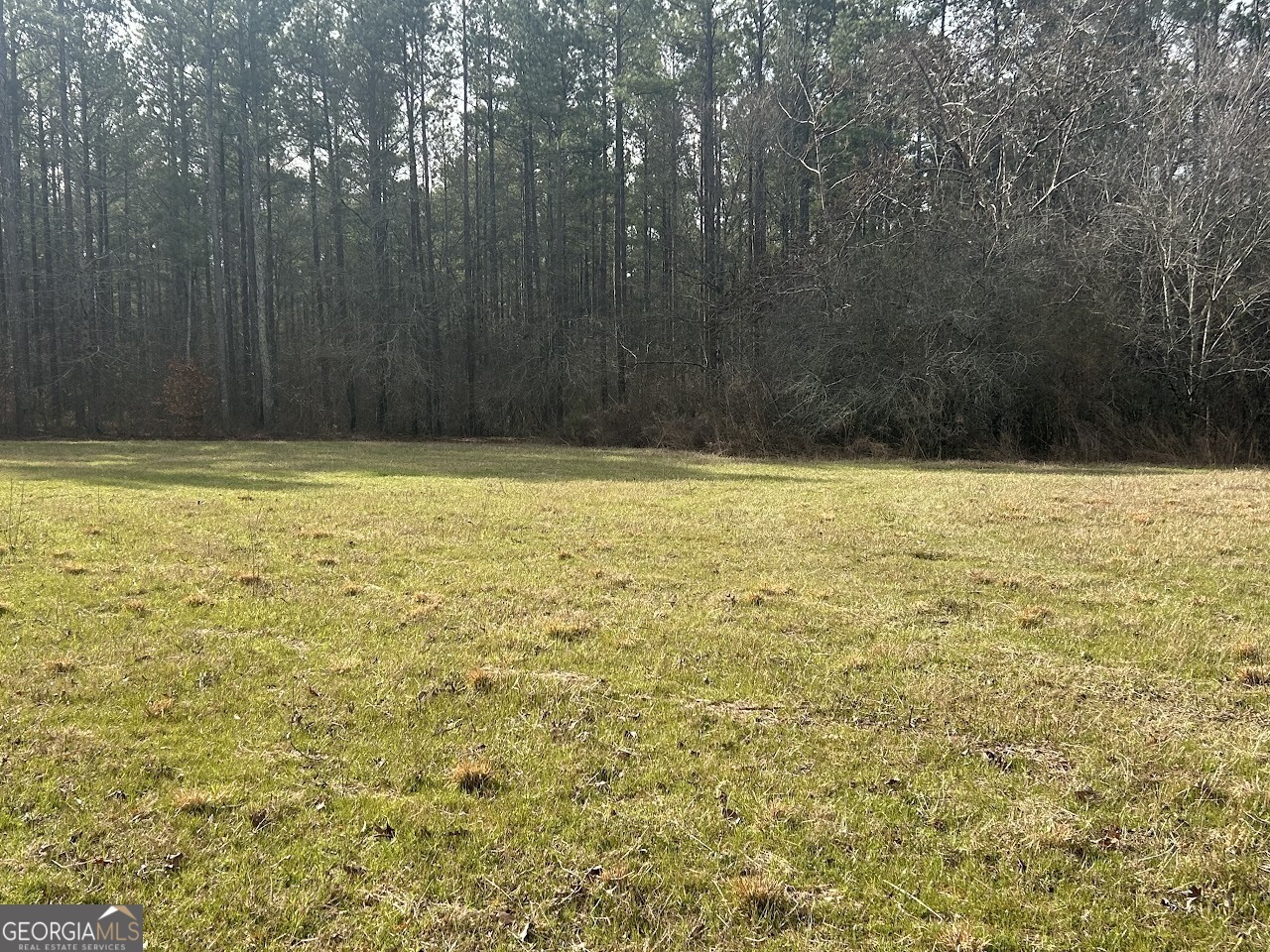 Property Photo: 250 Riversong Road GA 30117