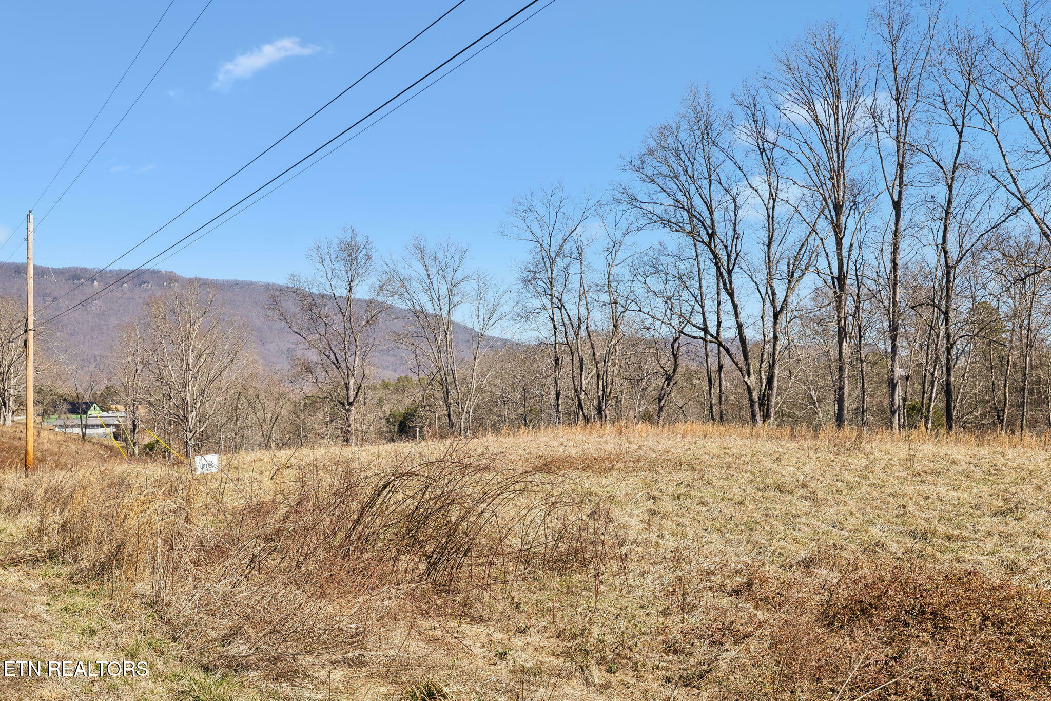 Property Photo:  Wagon Lane  TN 37870 