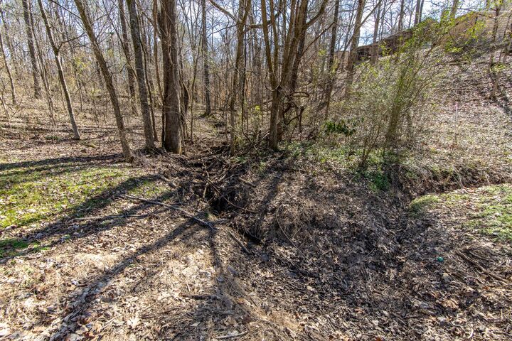 Property Photo: 0 Salt Ln TN 38372