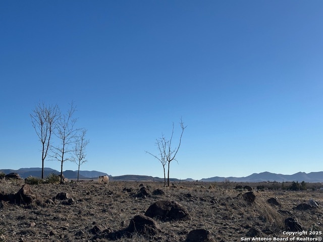 Property Photo: 505 E Musquiz TX 79734