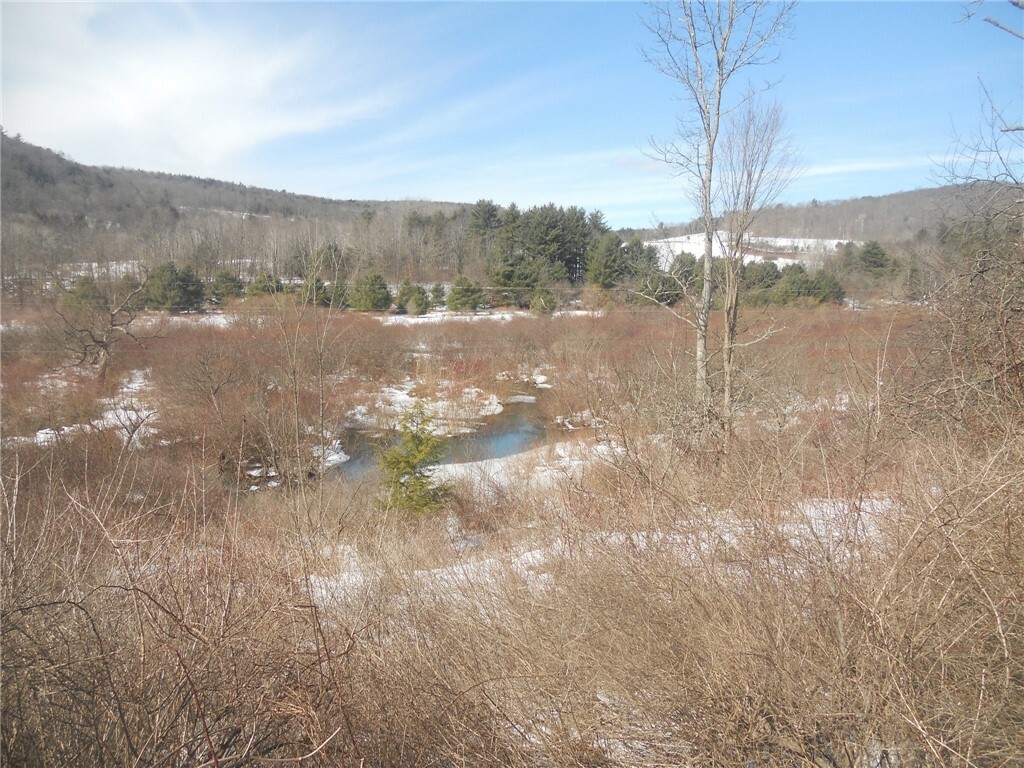 Property Photo: Prospect Valley Road NY 13864