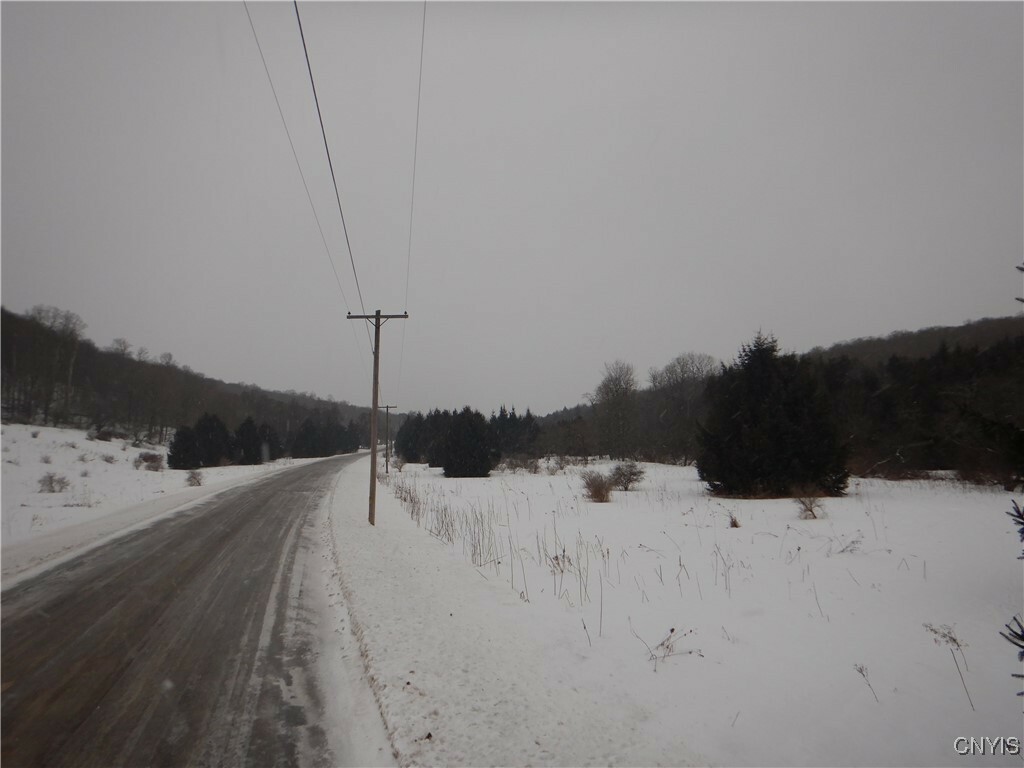 Property Photo:  Cheningo Solon Pond Road  NY 13040 