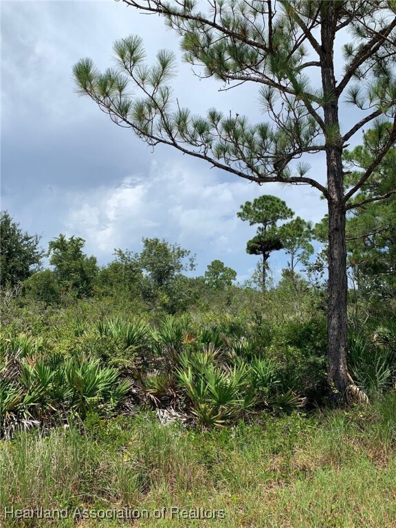 Property Photo: 225 Tomahawk Street FL 33852