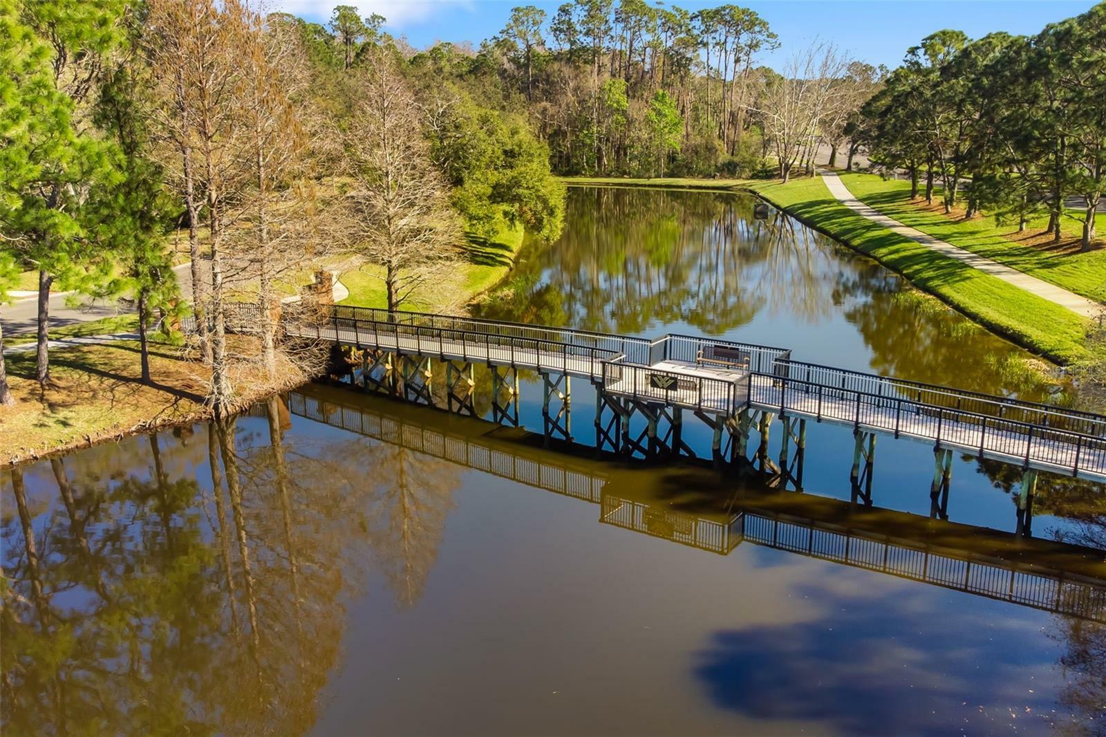 Property Photo: 12027 Wandsworth Drive FL 33626