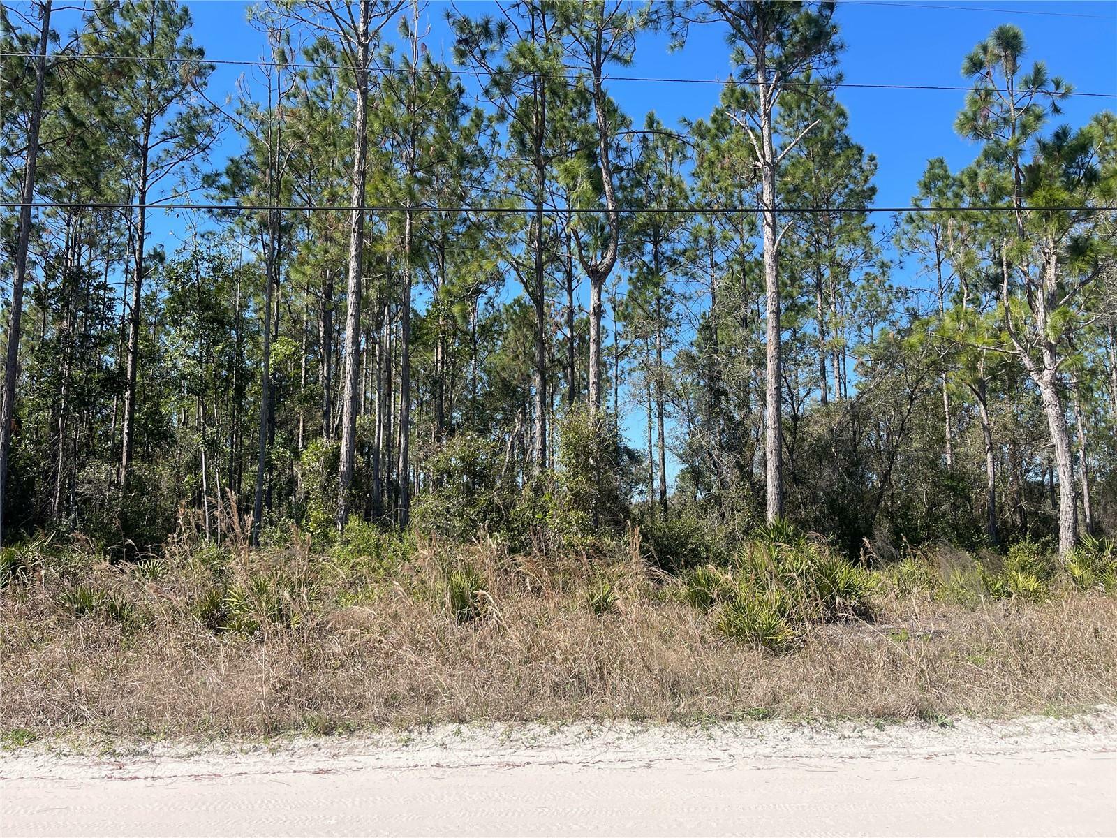 Property Photo:  Chesser Hammock Road  FL 32180 