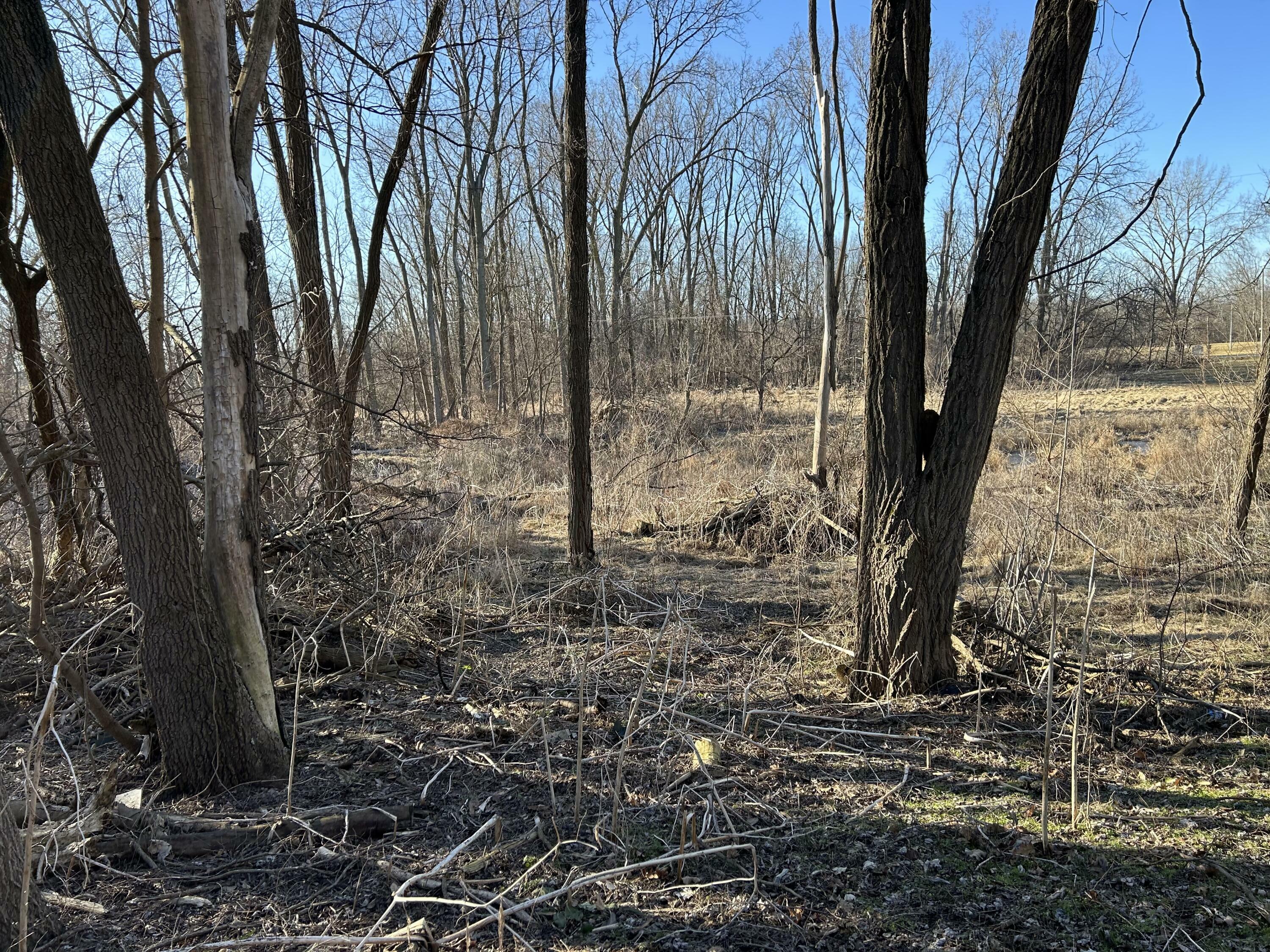 Property Photo: 512 Elm Street MI 49040