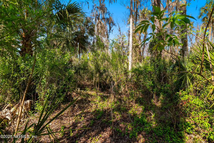 Property Photo:  0 Roscoe Boulevard S  FL 32082 