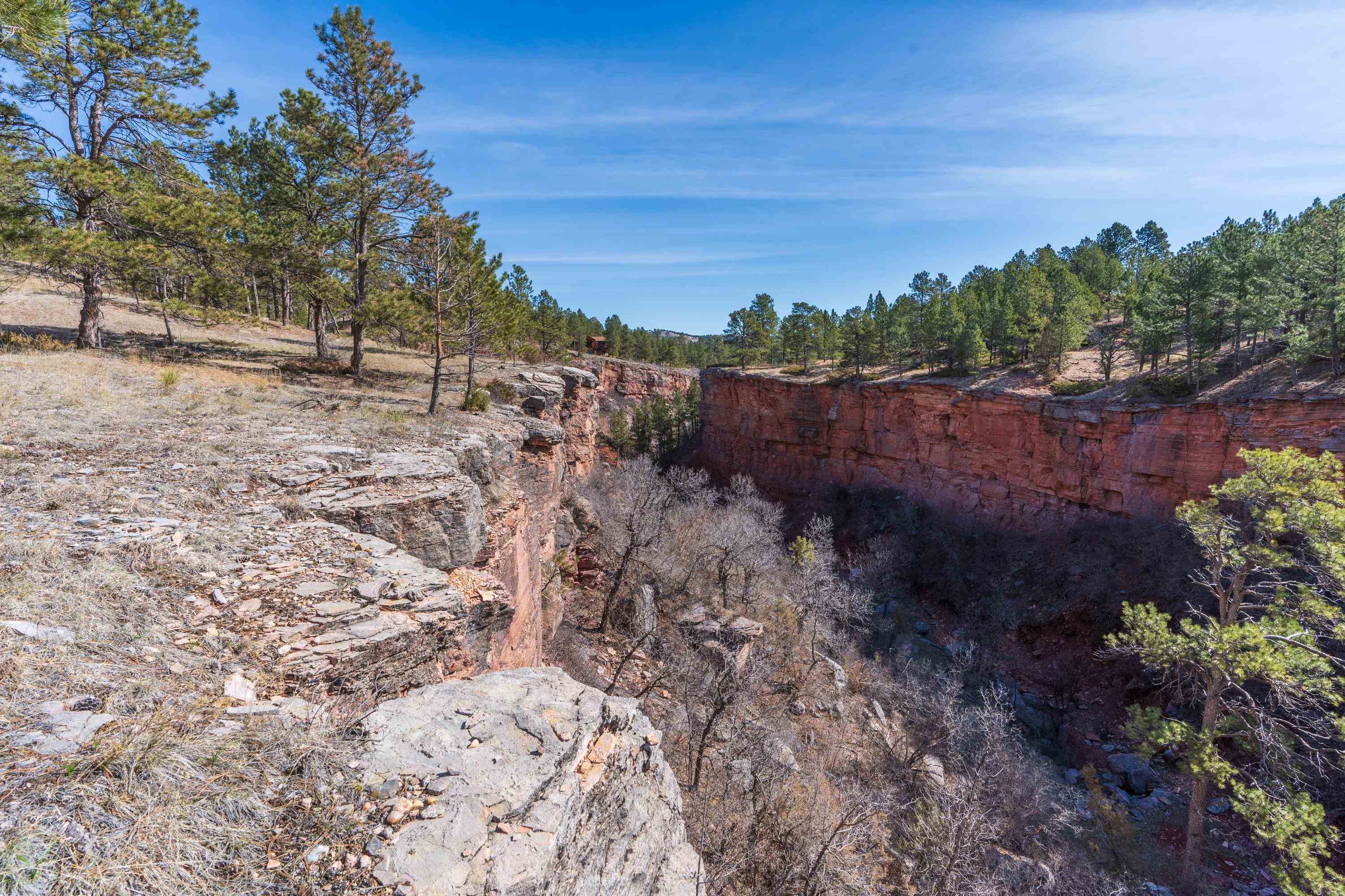Property Photo: Parcel 5 Saddle Ridge Road SD 57744
