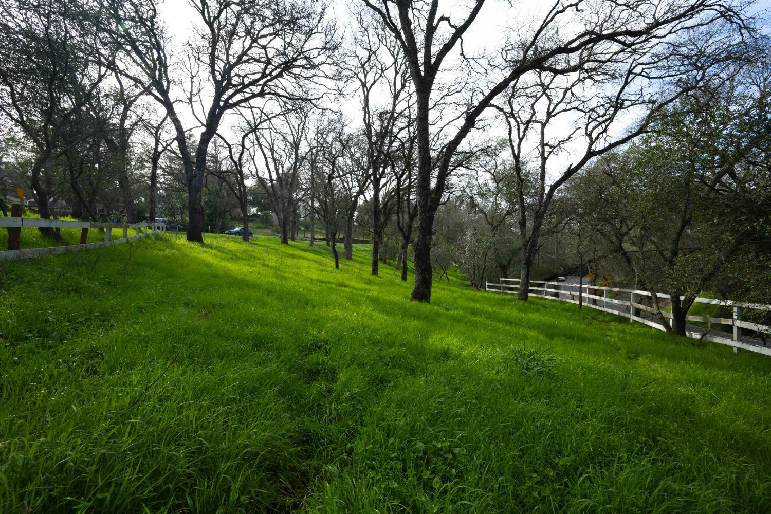 Property Photo:  4321 Buchanan Drive  CA 95628 