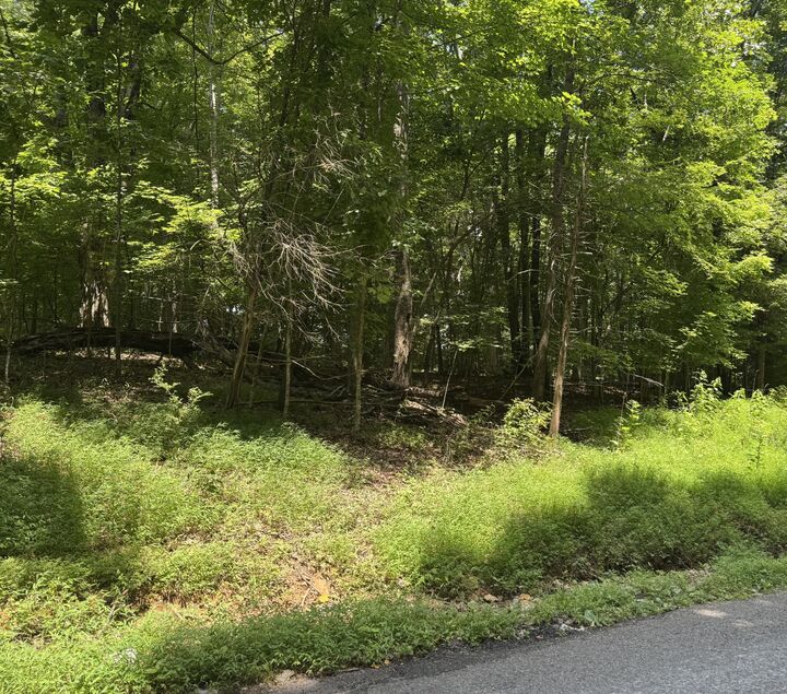 Property Photo: 0 Old Stage Rd TN 37055