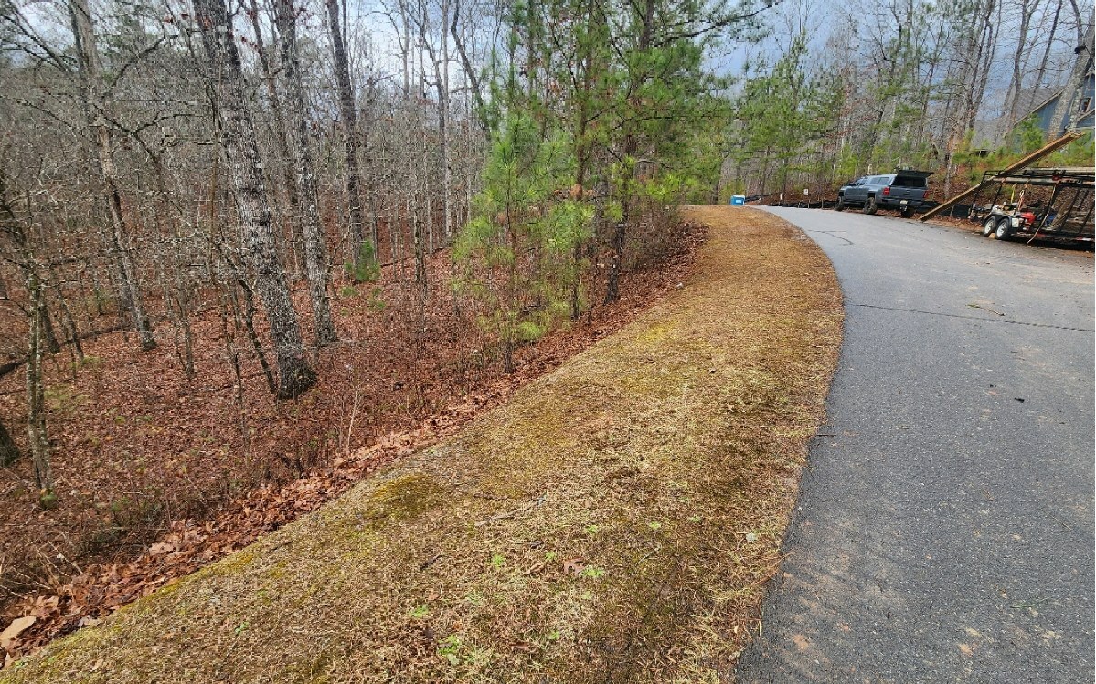 Property Photo: Lot 9 Harris Creek Drive GA 30540