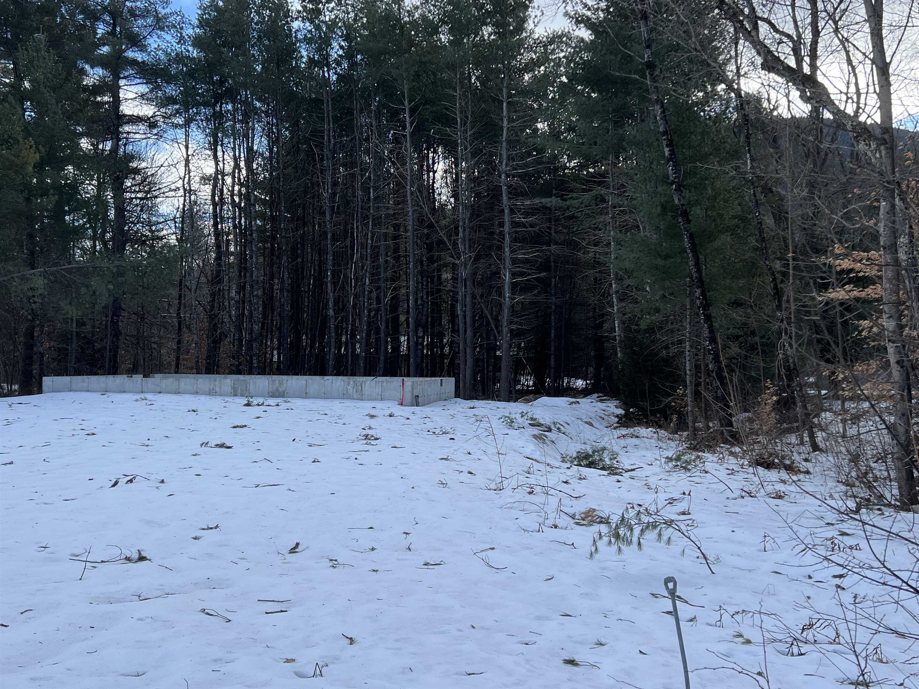 Property Photo:  498 Whittier Road  NH 03886 