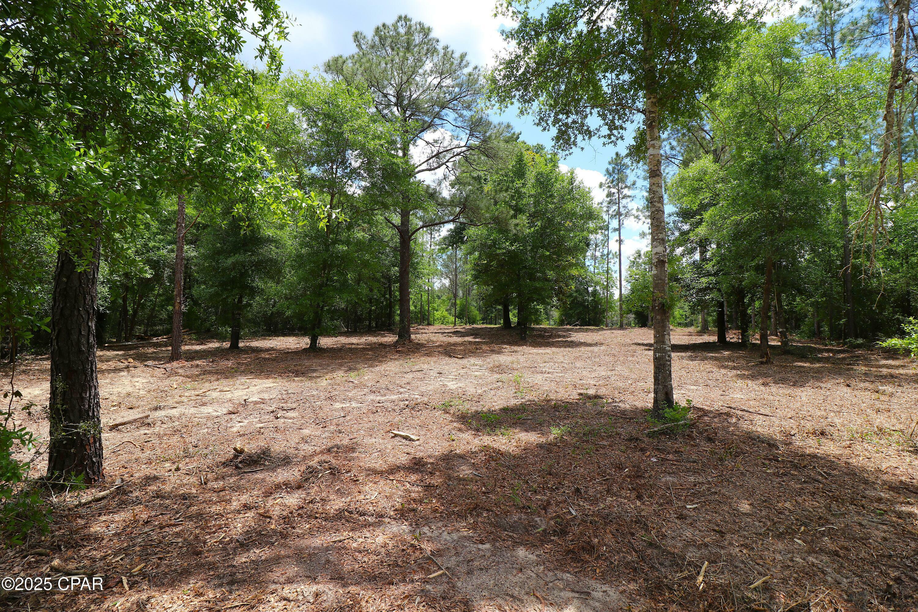 Property Photo: Lot 1 Flagler Drive FL 32428