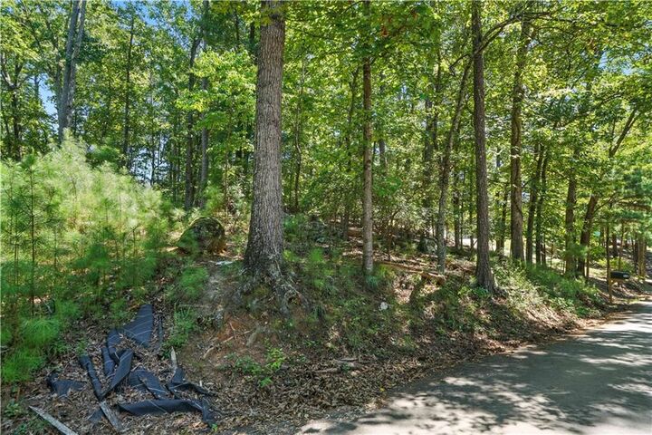 Property Photo: 0 Swallow Drive GA 30184