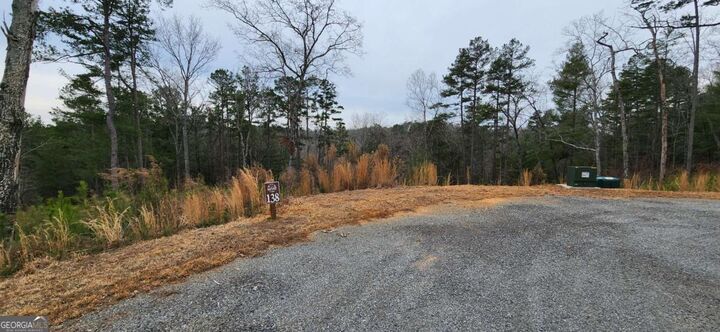 Lot 138 Sundown Trail  Ellijay GA 30540 photo