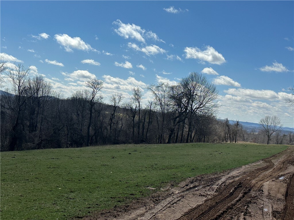 Property Photo: Tbd County Road 731 AR 72616