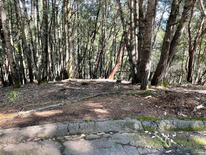 Property Photo: 24221 Buckeye Lane CA 95490