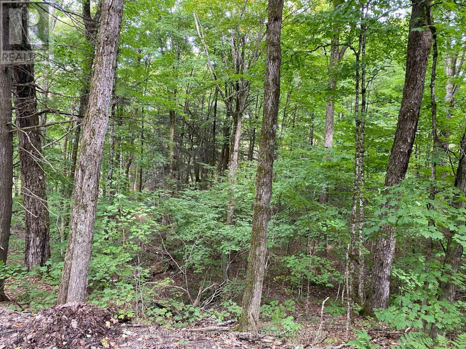 Photo de la propriété: 1080 Healey Lake Road ON P1L 1X3