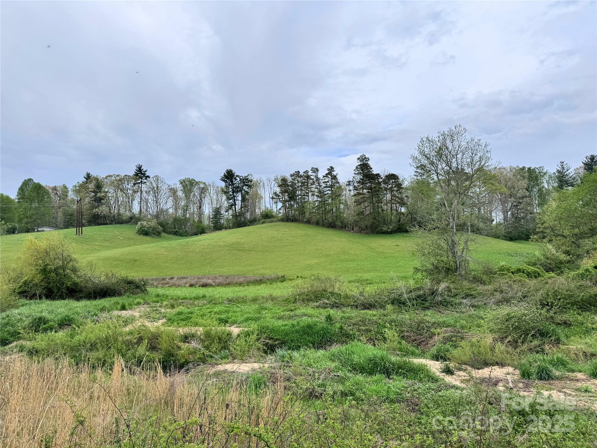 Property Photo: 38 Flourish Farm Lane NC 28806