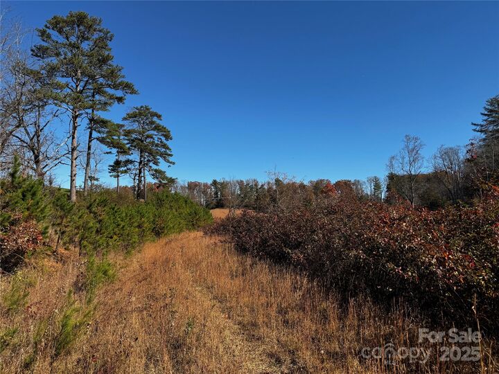 Property Photo: 38 Flourish Farm Lane NC 28806