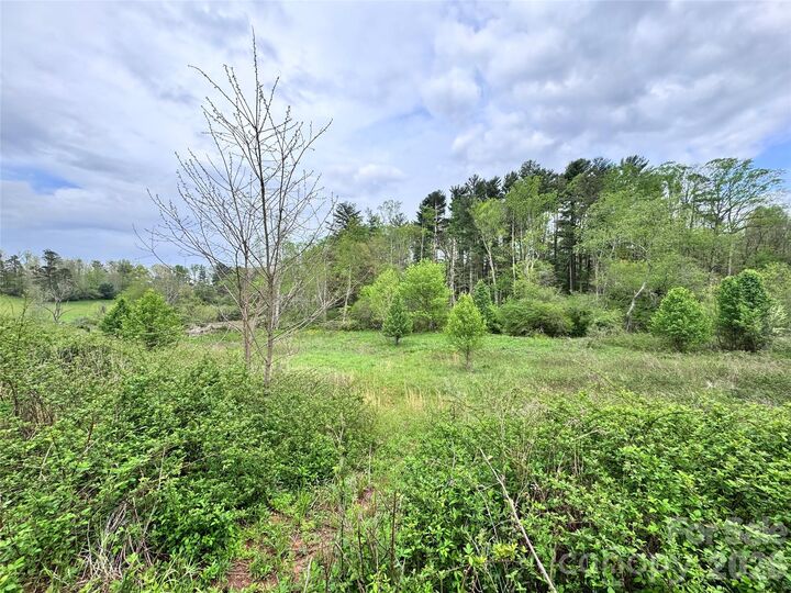 Property Photo: 38 Flourish Farm Lane NC 28806