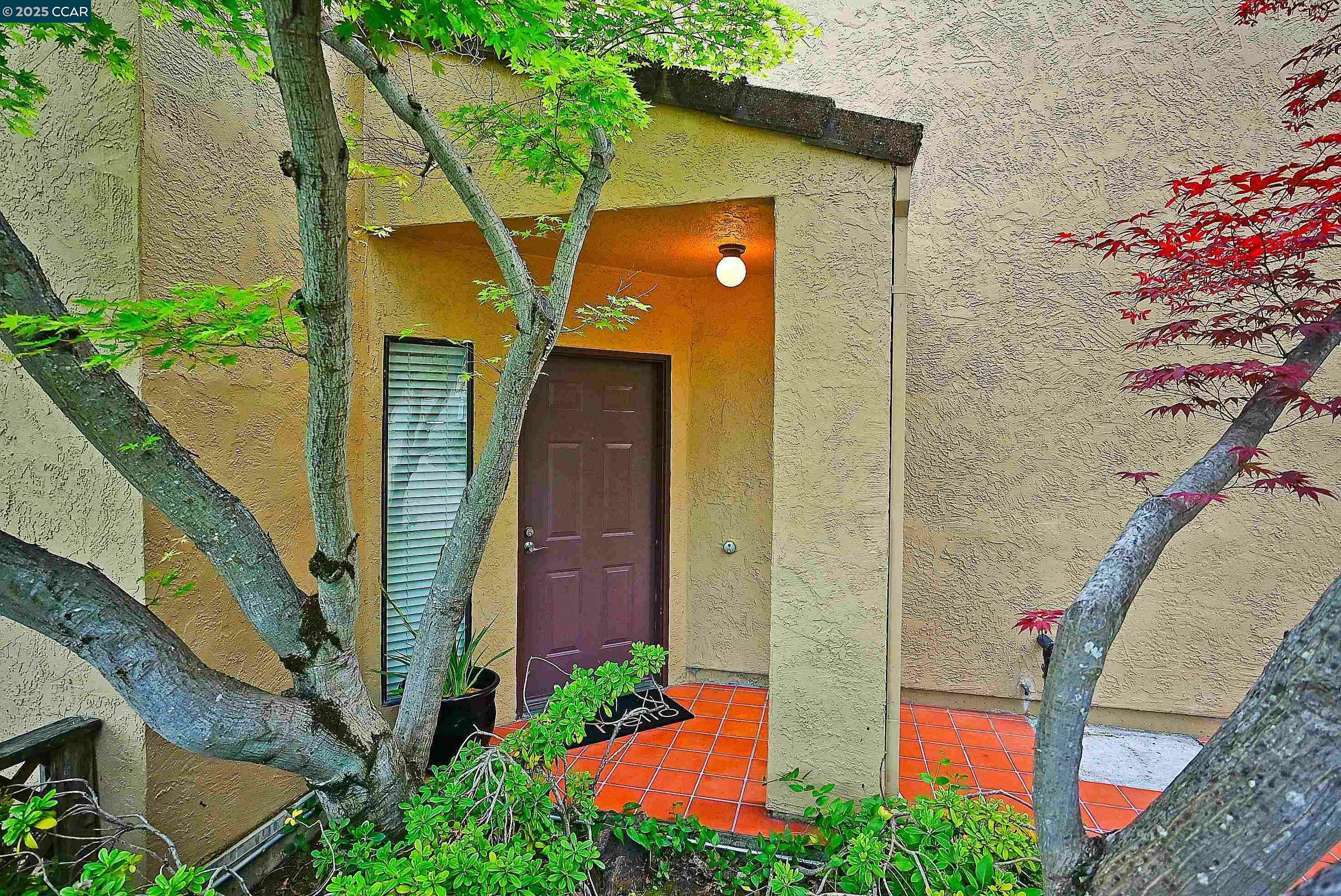 Property Photo:  3279 Mt. Diablo Court #1  CA 94549 