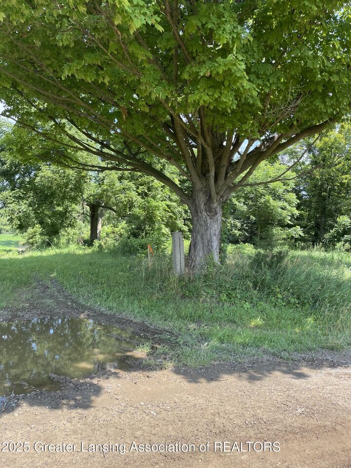 1950 Bolock Highway  Charlotte MI 48813 photo