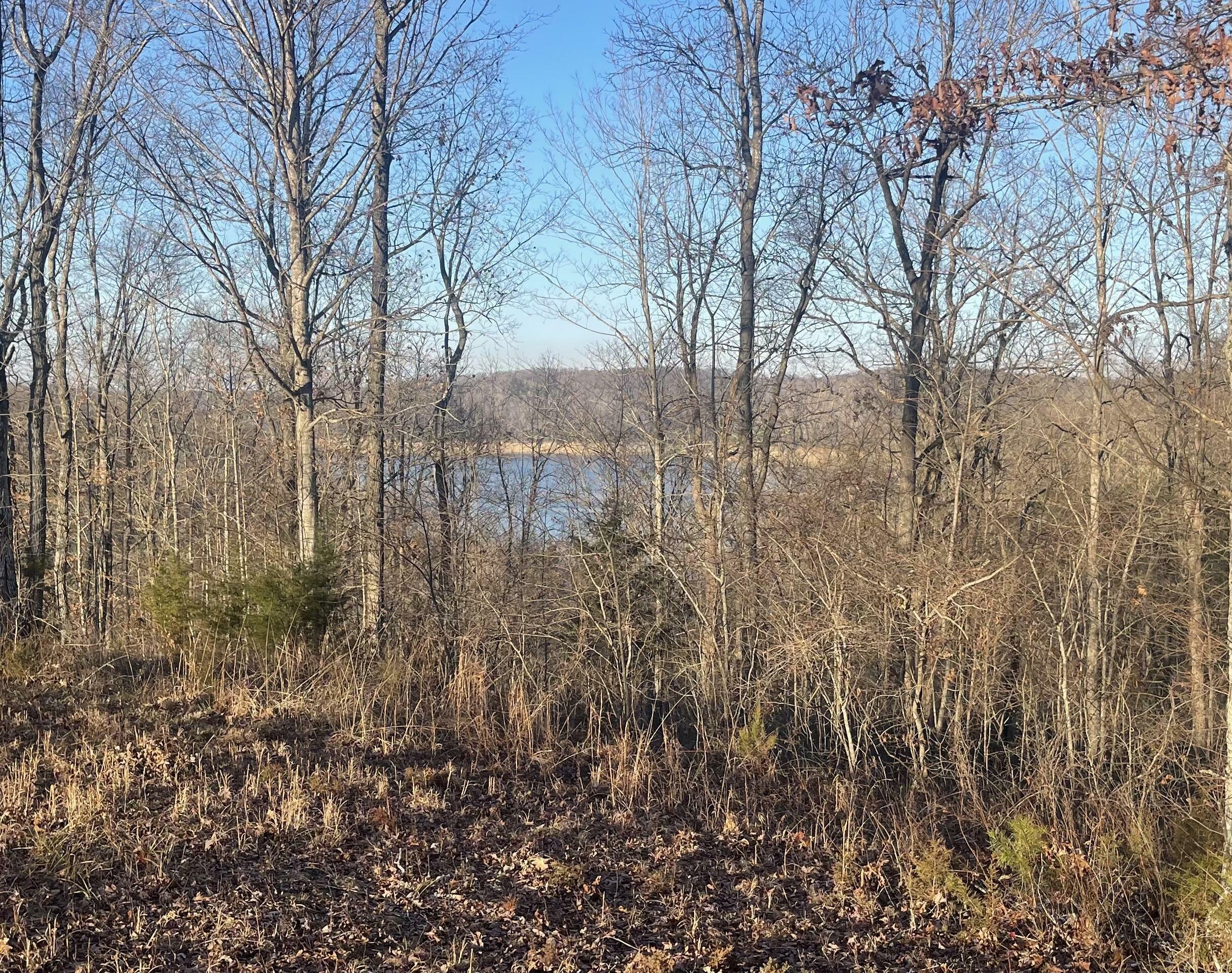 Property Photo: Lot 89 Cumberland Shores KY 42633