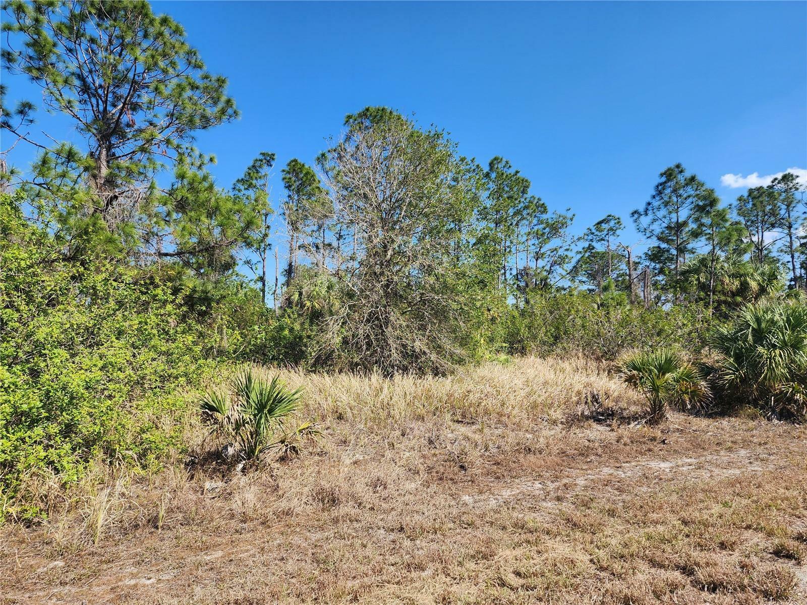 Property Photo:  Lot 14 Hamerton Road  FL 34288 