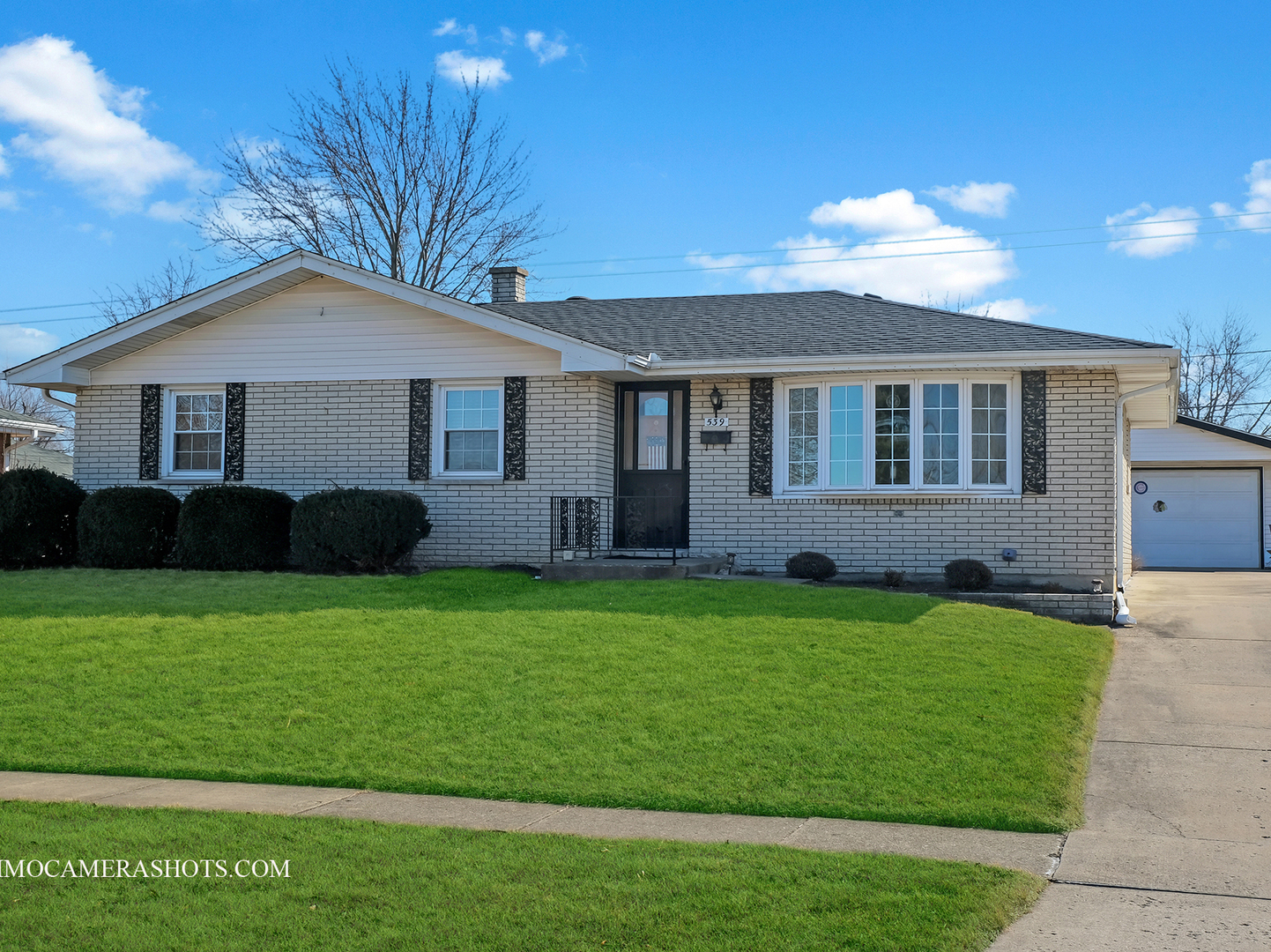 Property Photo:  539 Chaney Avenue  IL 60403 