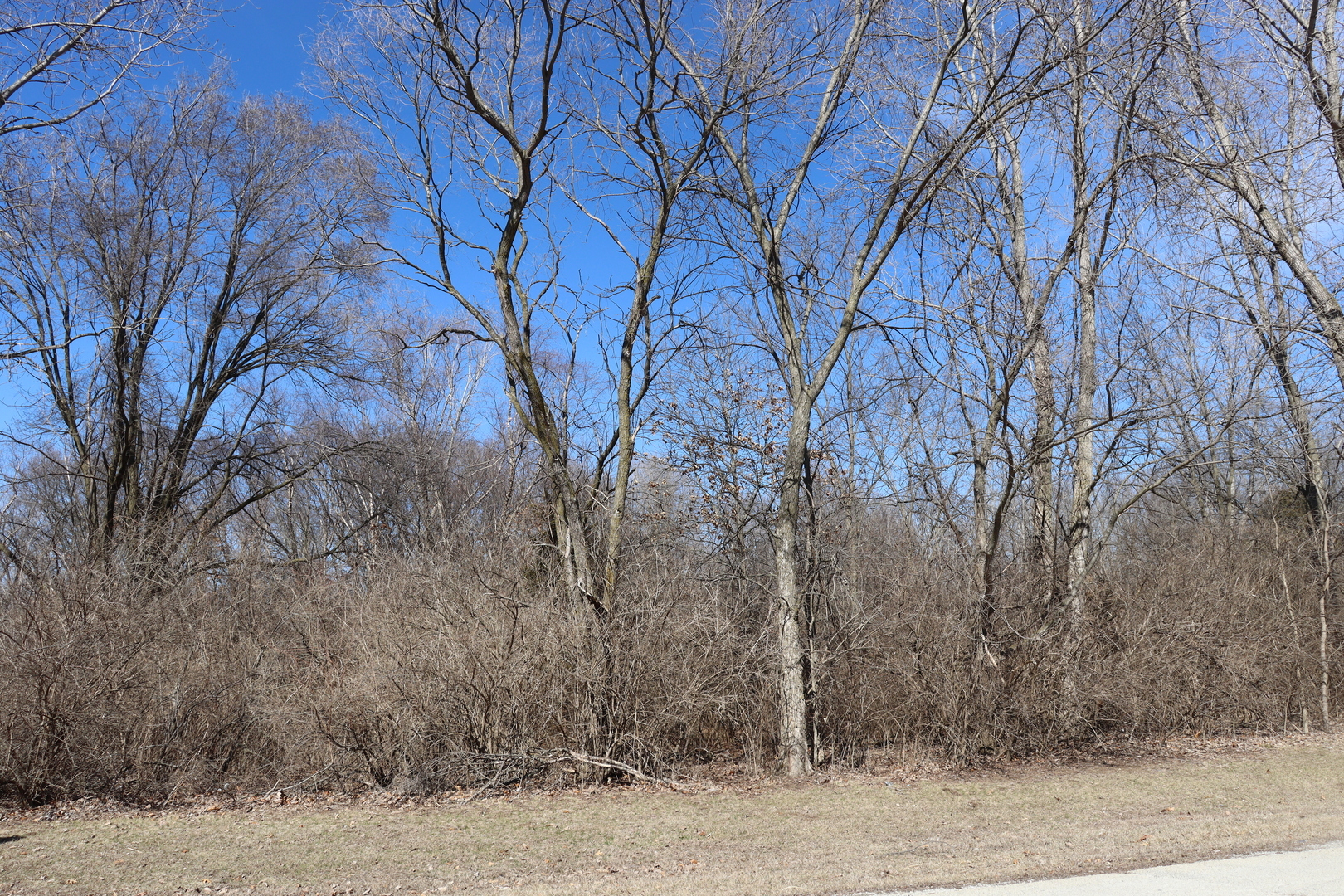 Property Photo:  35 Birchwood Lane  IL 60964 