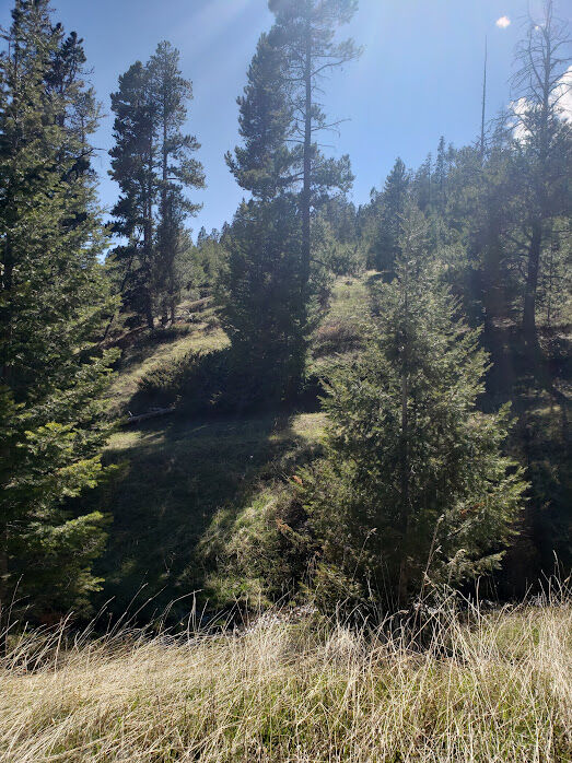 Property Photo: Sec 28 T08nr08e Heitman 5.11 Acres MT 59645