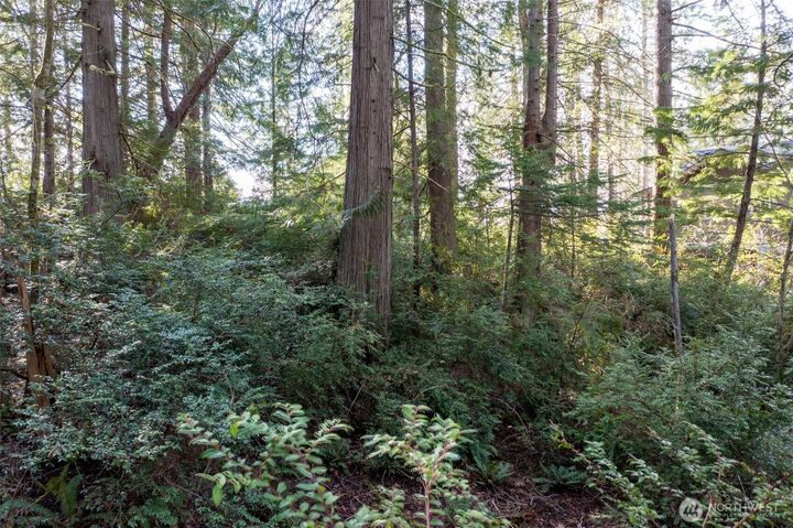 Property Photo: 432 E Pointes Drive E WA 98584