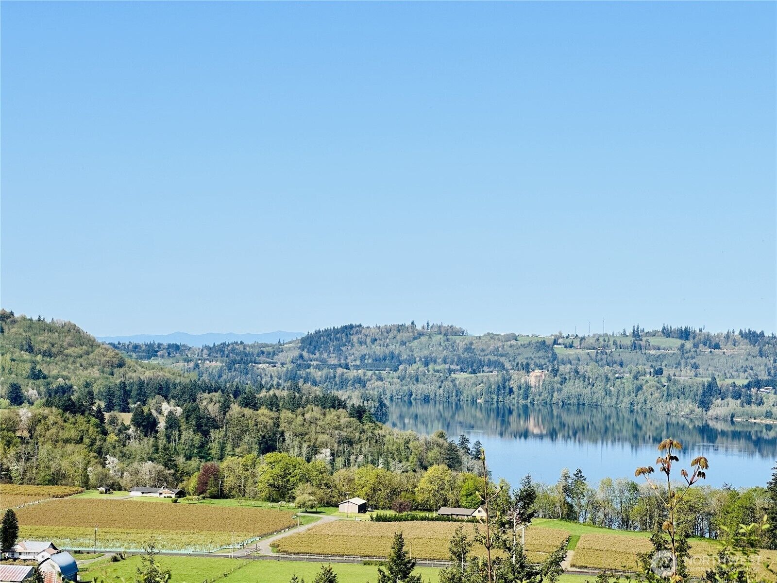 Property Photo: 295 Degoede Drive WA 98564