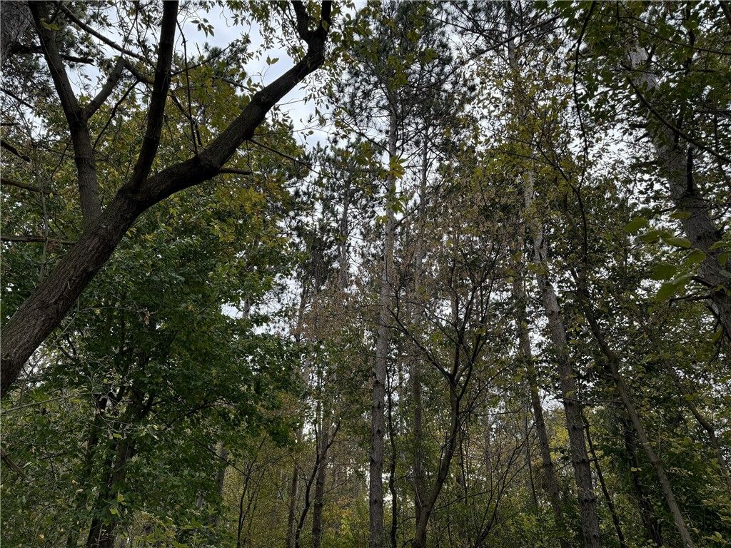 Property Photo:  Lot 4 - Xxxx 195th Avenue  WI 54017 