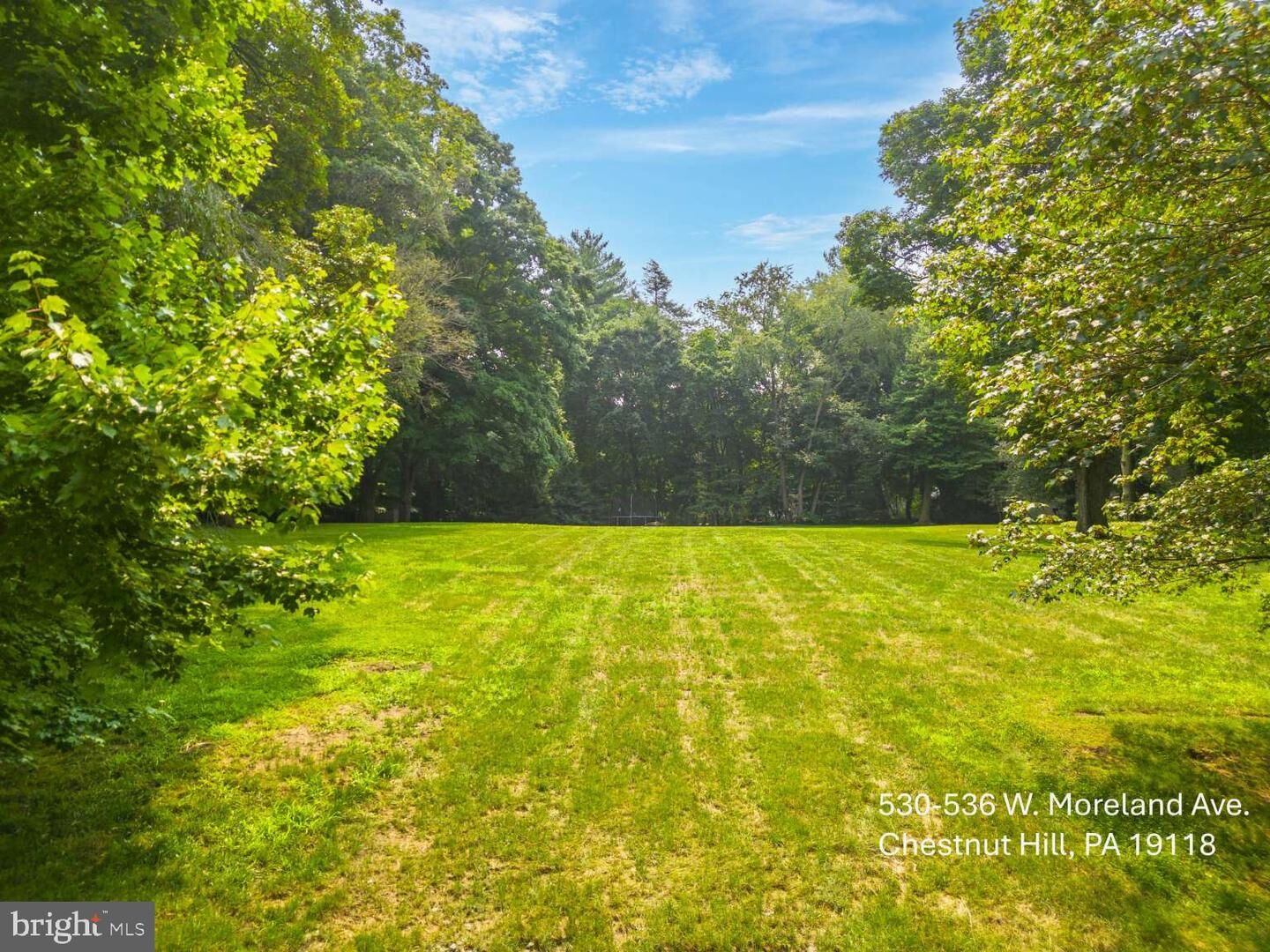 Property Photo:  530-536 Moreland Ave  PA 19118 