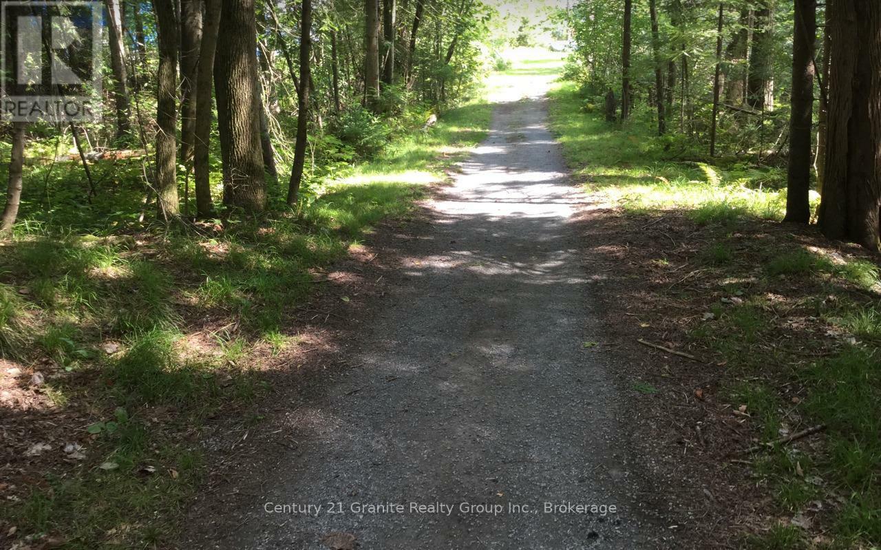 . McKenzie Place  Kawartha Lakes (Bexley) ON K0M 2B0 photo
