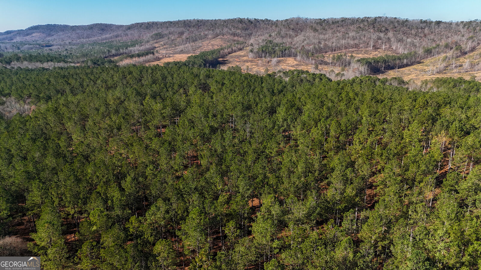 Property Photo:  32 Acres On Bac Tract 14  GA 30730 