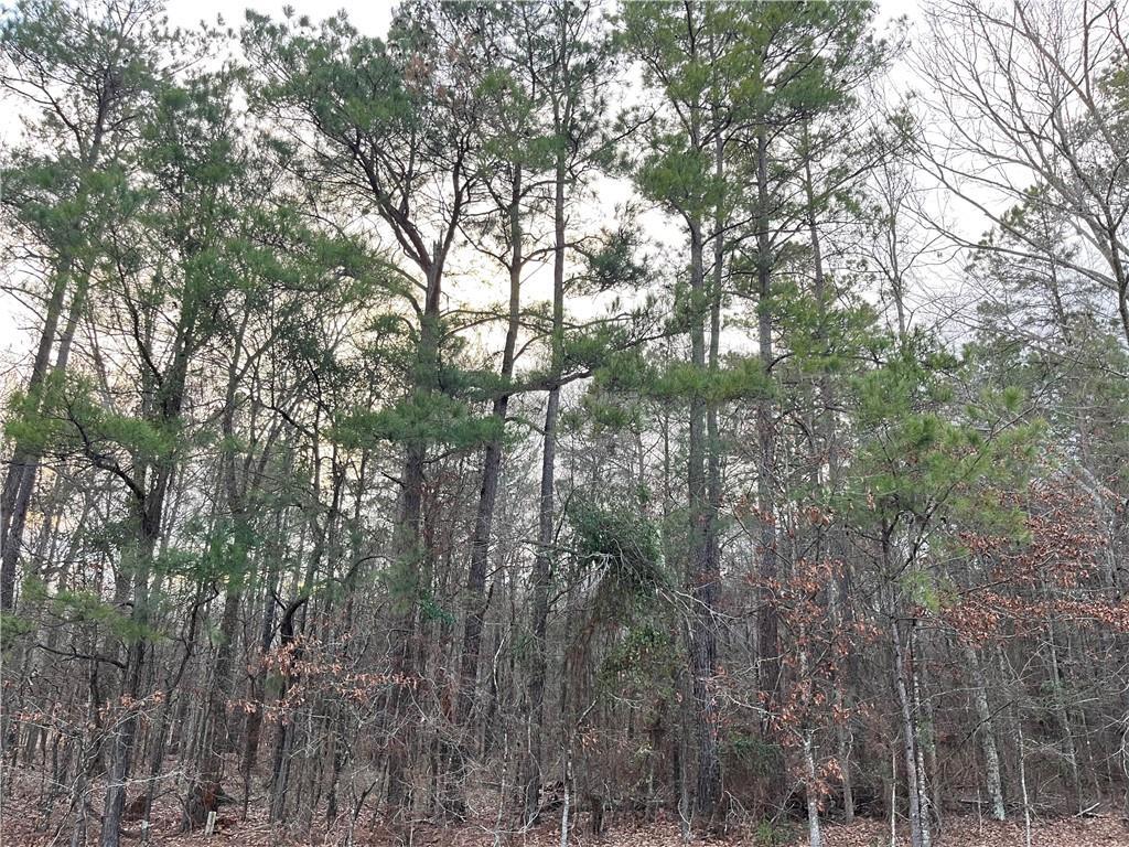 Property Photo: Lot (2) 0 Hwy 454 Highway LA 71360