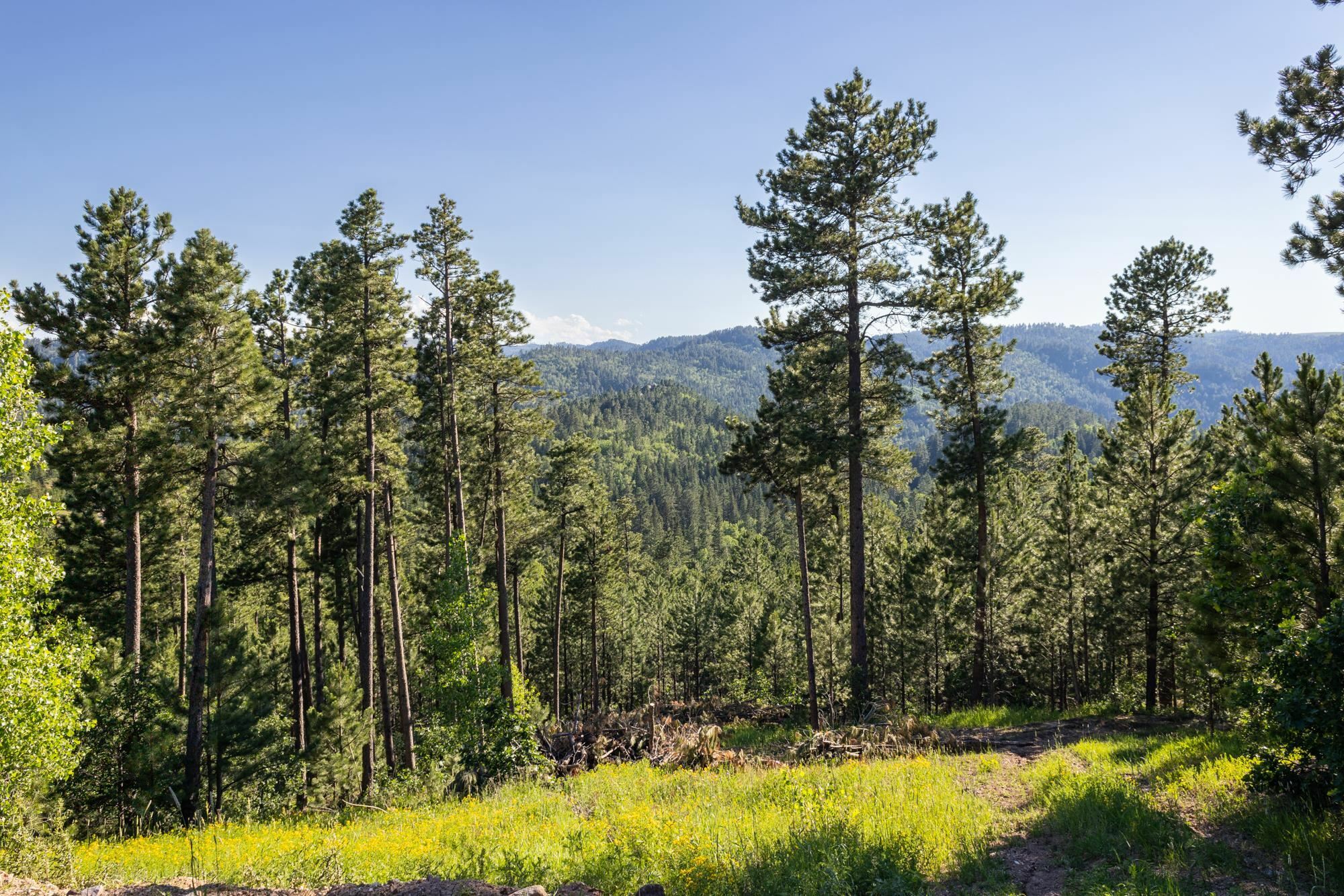 Lot 133 Paradise Gulch Loop  Lead SD 57754 photo