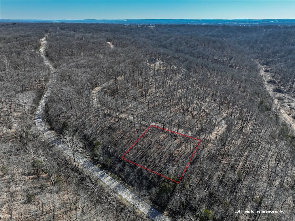 Property Photo: Lot 26 Dover Drive AR 72714