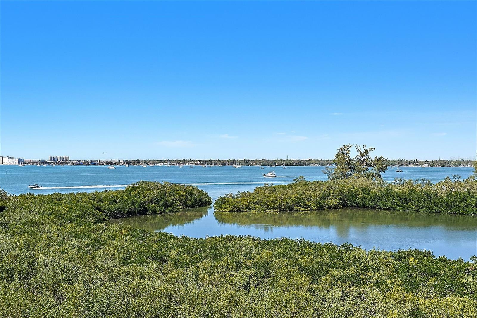 Property Photo: 4801 Osprey Drive S 404 FL 33711